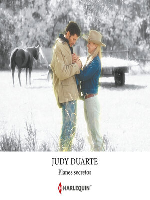 cover image of Planes secretos